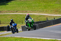Advanced 1 Group Green Bikes